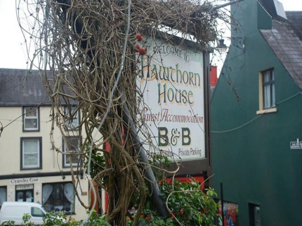 Hawthorn House Guesthouse Kenmare Exteriör bild